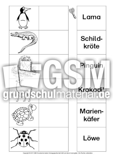 AB-Tiere-Zuordnung 13.pdf